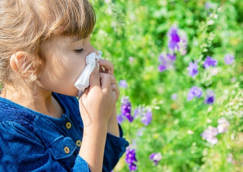 Аллергический ринит у детей: меры профилактики